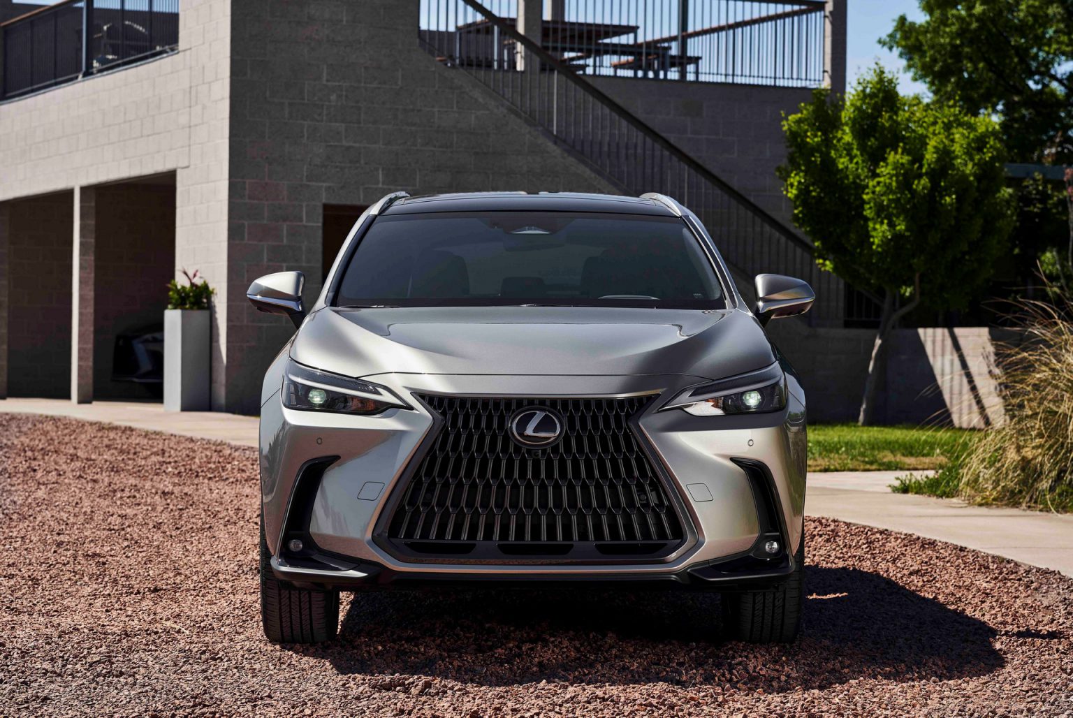 Nx 250 lexus 2022